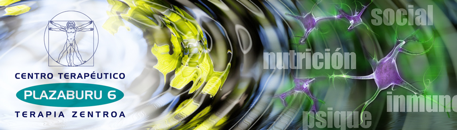 pni clínica en loyola donostia