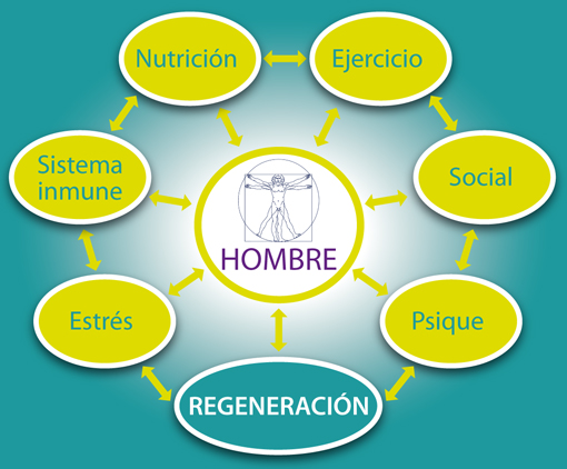 esquema del planteamiento de PNI clínica - Donostia